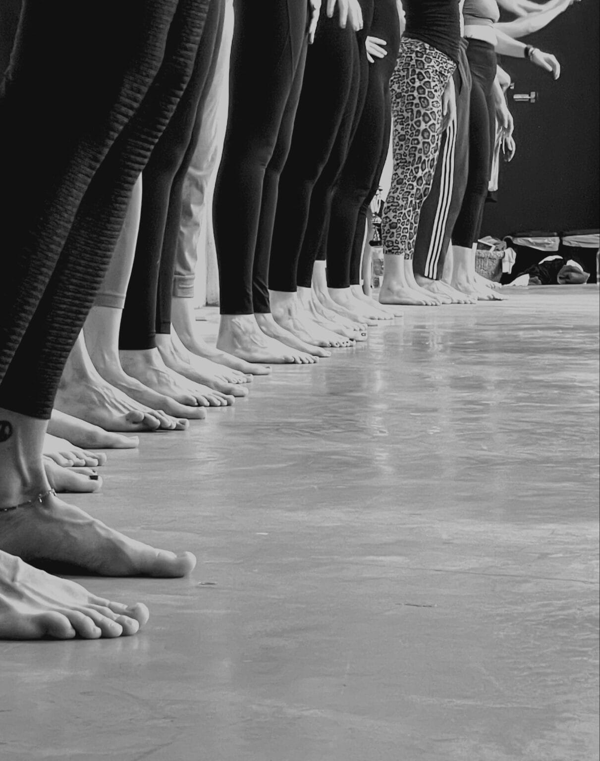 Primal Moves Ibiza Studio